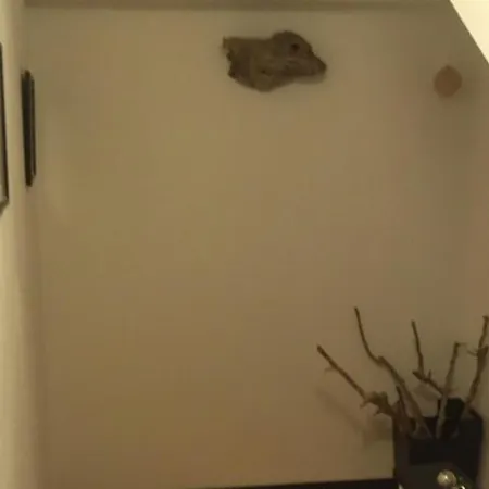 Where Serendipity Came To - Apartment